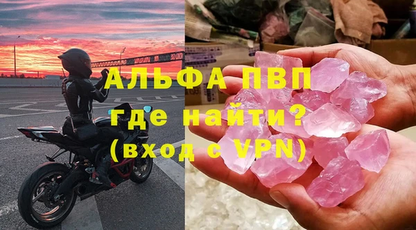 гидра Богданович